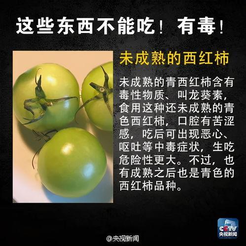 吃瓜也有风险吗,揭秘网络舆论背后的风险与真相
