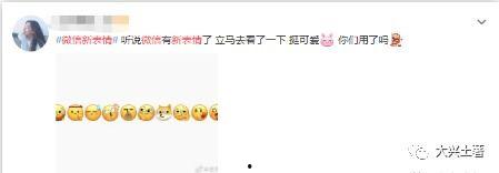 吃瓜公司微信,揭秘微信背后的那些事儿