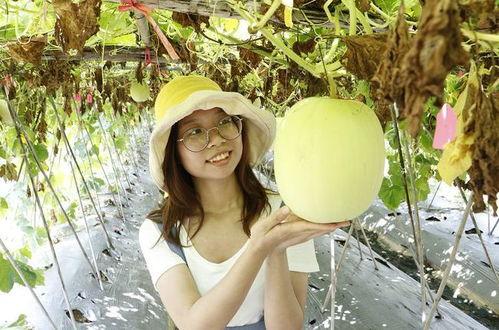 佛山异地情侣吃瓜,异地恋也能甜蜜如初