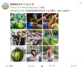 qq高校吃瓜群,校园热点事件背后的热议与真相
