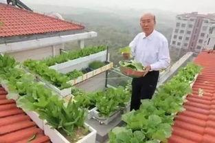 西厂楼顶吃瓜,见证历史瞬间，吃瓜群众的热议焦点