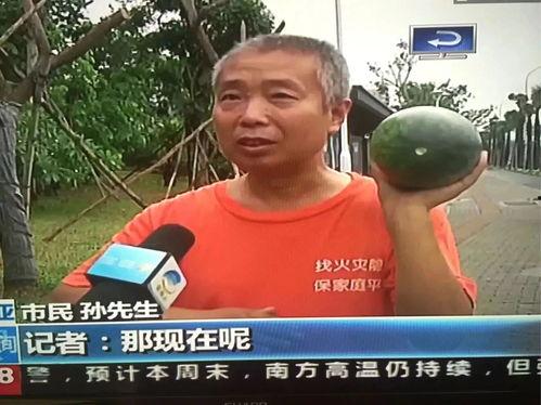 菲律宾事件吃瓜群众,吃瓜群众视角下的热点追踪