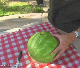 吃瓜四种方式,揭秘夏日消暑新潮流