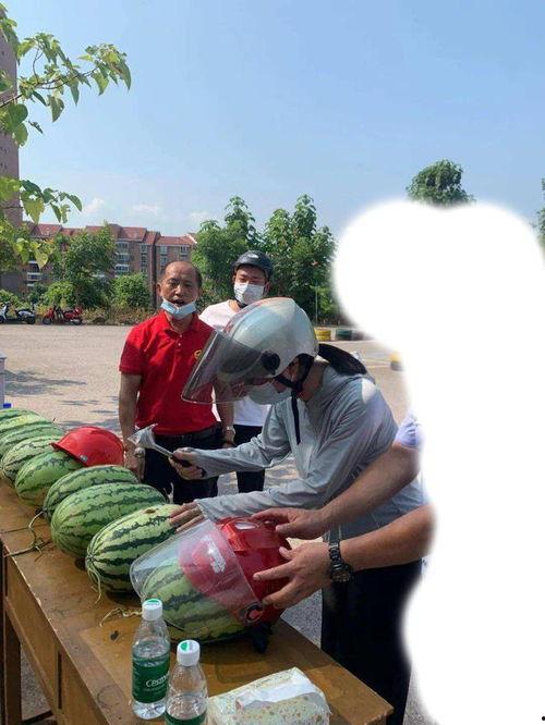 往年的吃瓜事件,揭秘幕后真相与热点瞬间