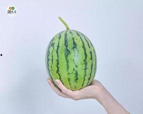 吃瓜网测评,热门美食背后的真相与惊喜