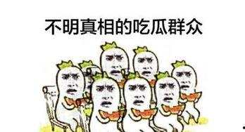 吃瓜群众收回欠款,维权之路彰显正义
