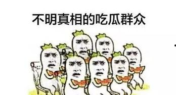 吃瓜群众 冰淇淋,揭秘吃瓜群众的最爱——冰淇淋