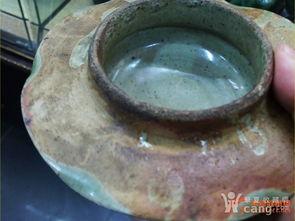 青瓷吃瓜更新时间,最新更新揭秘，精彩剧情不容错过！