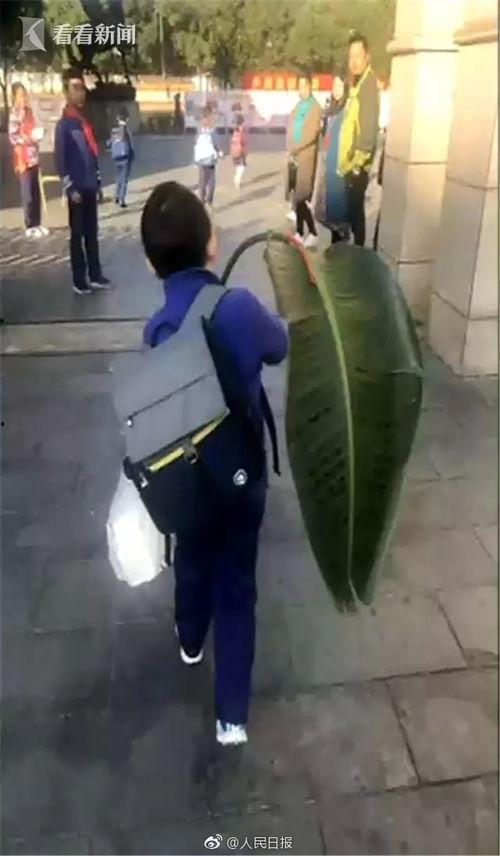 吃瓜群众写作业,吃瓜群众视角下的作业奇观