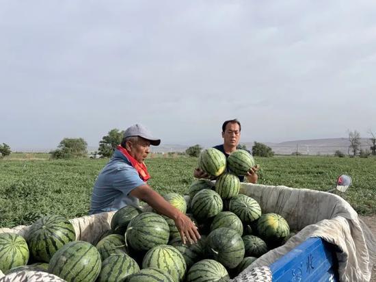 吃瓜辽宁鞍山,探寻辽宁美食之源