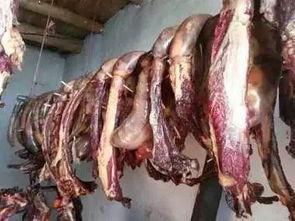 吃马肠可以吃瓜吗,畅享马肠佳肴，尽享夏日瓜果盛宴