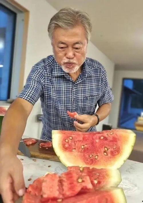 文在寅吃瓜猪吃的,一场意外的美食之旅