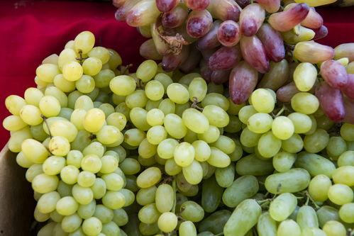 别人吃哈密蜜瓜,甜蜜邂逅，尽享瓜香四溢