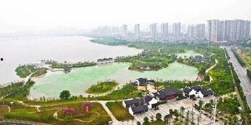 沙湖公园吃瓜,清凉一夏，共享瓜果飘香