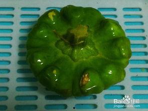 姜饼瓜怎么吃,姜饼瓜的多重美味吃法探索